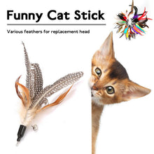 Load image into Gallery viewer, 1 Pc New Cat Stick Feather Replacement Head Caterpillar Replacement Head Multiple Cat Stick Feather Dropshipping