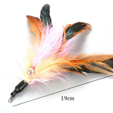 Load image into Gallery viewer, 1 Pc New Cat Stick Feather Replacement Head Caterpillar Replacement Head Multiple Cat Stick Feather Dropshipping
