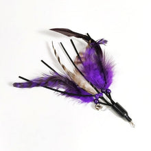 Load image into Gallery viewer, 1 Pc New Cat Stick Feather Replacement Head Caterpillar Replacement Head Multiple Cat Stick Feather Dropshipping
