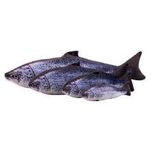 Load image into Gallery viewer, Multi-pattern Funny Lifelike Fish Shape Simulation Pet Cat Kitten Teaser Cute Playing Toy Pillow Doll With Catnip
